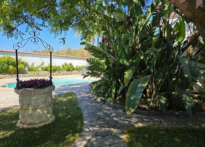 Gardel Nature Icod De Los Vinos